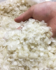 MATERIA PRIMA DE ESCAMAS DE PESCADO / SUMINISTRO ESTABLE PARA EXPORTACIÓN DESDE VIETNAM - Product Image 1