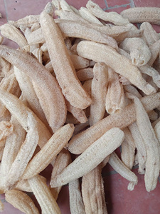 Handmade 100% Sponge Raw Loofah Sponge Loofah Product With Eco Friendly Lowest Price Bath Sponge - Product Image 5