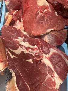 Carne de Res y Búfalo Halal Congelada, Partes del Cuerpo con Hueso y sin Hueso, Carne de Cabra, Carne de Oveja, Carne de Cordero, Certificada Halal - Product Image 5