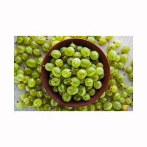 Encurtido de amla, producto tradicional de fruta en conserva para tiendas minoristas, distribuidores de alimentos y mercados étnicos globales - Product Image 3
