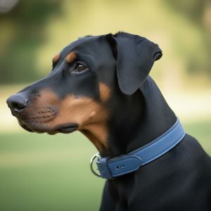 Collar de Perro de Cuero de Alta Calidad, Ajustable, Impermeable, Cómodo y Ecológico con Logotipo Personalizado, Directo de Fábrica, Diseño para Mascotas - Product Image 4