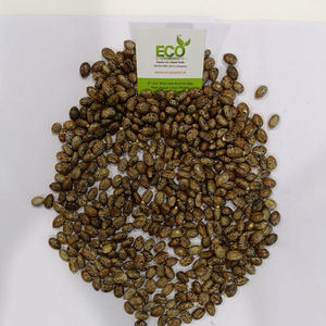 Principal fournisseur et fabricant domestique cultivé dans les terres agricoles de l'inde - Product Image 2