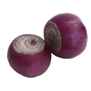 Sale 6-8cm onion export 2023 newest crop yellow/Red onion share fresh gold onions supplier for wholesale Round within 7 Days