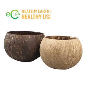 100% taza de coco natural hecha a mano con logotipo láser personalizado de alta calidad/tazas de coco hechas por Eco2go Vietnam - Product Image 3