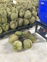 Monthong/Ri6 Premium Bevroren/Verse Durian Pulp/Heel/Vlees Tropisch Fruit Exporteren Kwaliteit Uit Vietnam Tegen Goedkope Prijs // Anna Do
