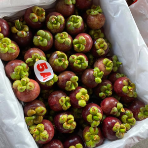 Mangosteen fresco | 100% Fruta orgánica al por mayor de Vietnam | El mejor precio y alta calidad - Product Image 1