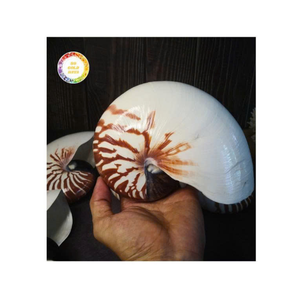 Decoración del hogar con Nautilus Shell de Vietnam exportado por 99 Gold Data para proyectos de arte y juegos de Nautilus Shell - Product Image 3