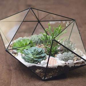 Diferentes formas de alta calidad, único, atractivo, mejor diseño, marco de Metal, Terrario de vidrio transparente, decoración para interiores y exteriores - Product Image 2