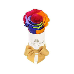 Liberty Gift Box with White Eternal Rose Natural Preserved Flower for Mother's Day or Valentine's Day Gift in Rainbow Color - Product Image 1