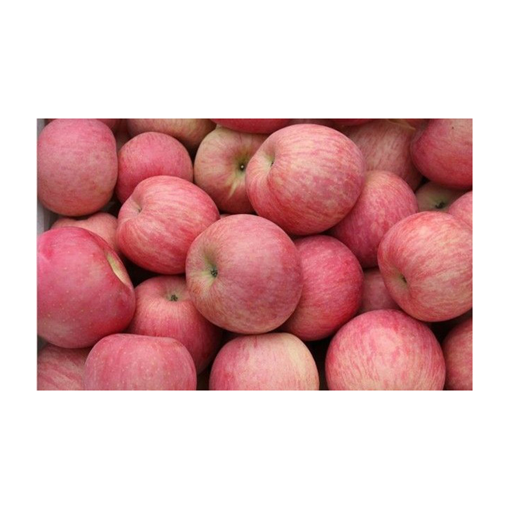 Wholesale red apples bulk supply premium quality available