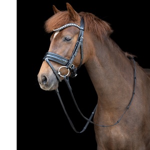 Bride Snaffle - Product Image 6