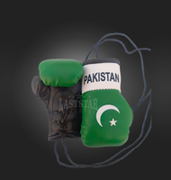 Mini-gants de boxe personnalisés en cuir PU avec motif drapeau pakistanais pour accessoires de voiture - Durables et personnalisables