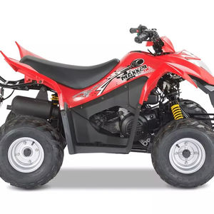 Nouveau véhicule utilitaire industriel puissant MAXXER 50 à 2 temps - Product Image 1