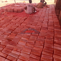 JOBAK Vente en gros de briques de sel de l'Himalaya naturelles sculptées de 5x10x20 cm, certifiées ISO, directement des mines du Pakistan, personnalisables, qualité supérieure
