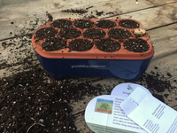 2025 plateaux de germination en terre cuite démarrage des graines céramique auto-arrosage plateau de démarrage Kit de démarrage de semis auto-arrosage