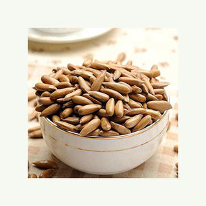 ถั่วสนคุณภาพสูง ออร์แกนิค นำเข้าจากแคนาดา ยอดขายอันดับต้นๆ แท้ 100% จากธรรมชาติ บรรจุภัณฑ์แบบดิบ เกรด A - Product Image 4