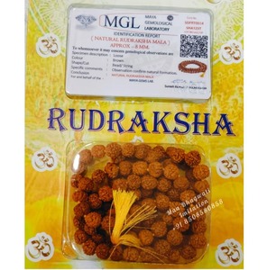 Proveedor Mayorista de Mala de Rudraksha de 8 Mukhi, 108 Cuentas, Pulida, Original, Certificada, para Hombres y Mujeres, a Precio Económico - Product Image 2
