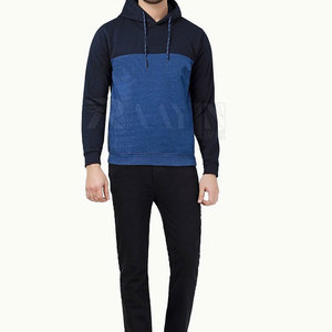 Sweat à capuche épais en molleton 100 % coton de haute qualité pour homme, coupe classique, avec logo personnalisé, couleur unie, idéal pour l'hiver - Product Image 2