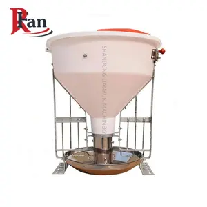 Automatic feeding tank for pigs saves feed and increases feed intake