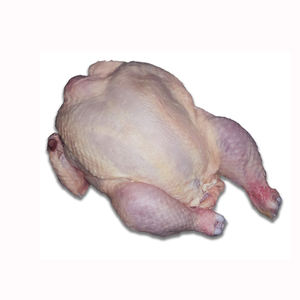 Vente en gros poulet entier congelé halal avec et sans corps d'abats emballage style poulet - Product Image 5