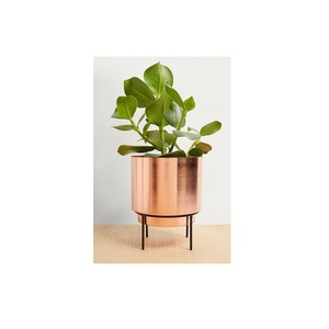 Elegant Fancy pedestal metal decorative planter adding height and prominence to indoor plant arrangements in living rooms - Product Image 3