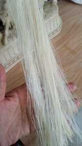 เส้นใยกล้วยหวีธรรมชาติ100% มีความยาวจนถึง100ซม. เหมาะสำหรับการวิจัยการศึกษาและการประยุกต์ใช้ทางเทคนิค - Product Image 4