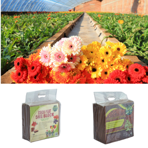 Blocs de coco de la meilleure qualité, 5 kg, pour l'agriculture, notamment pour la culture de gerberas, naturels et écologiques - Product Image 2