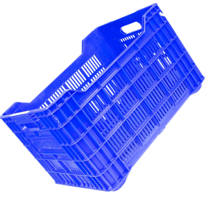 DPK06: <b>Plastic</b> Fruit <b>Crates</b> - Product Image 4