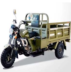 รถสามล้อไฟฟ้า DAYANGS H5 ขนาด 200 ซีซี แบบมีที่นั่งคนขับเปิด เหมาะสำหรับการขนส่งสินค้าหนัก - Product Image 3