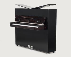 MEJOR PRECIO Teclado Arreglador Portátil Sauter Pure Basic de 88 Teclas, 100 Ritmos, 200 Tonos, 14 kg, 10 Percusiones, Construcción de Plástico - Product Image 1