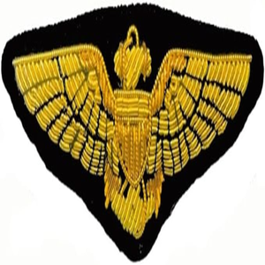 Insignia de Piloto de la Armada de la Fuerza Aérea de los Estados Unidos, con Alas Doradas, Personalizable, Bordado a Mano, con Pasador de Seguridad, Insignias y Parches de Tela - Product Image 6