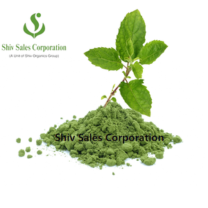 Polvo de Extracto Seco de Hoja de Tulsi de Alta Pureza para Requisitos Profesionales de Fabricación Herbal - Product Image 1