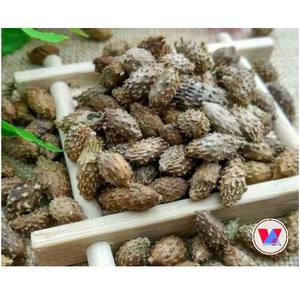Fruta de Xanthium Seca Natural para Té de Hierbas, Bebidas Saludables y Formulaciones de Bebidas Botánicas Funcionales - Product Image 1