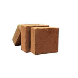 Venta al por mayor 5 Kg Cocopeat Low Ec bloquea la elección sostenible de plantas saludables de proveedor indio al por mayor - Product Image 6