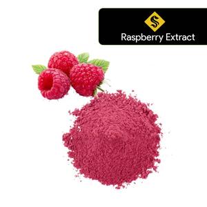 Polvo concentrado de jugo de fruta de frambuesa orgánico de alta calidad, suministro del fabricante, extracto de frambuesa en polvo, Extracto de planta - Product Image 1