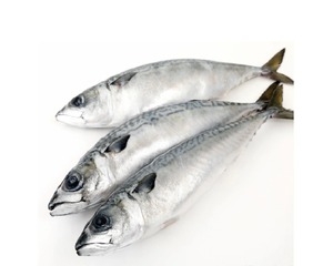 Frozen Horsmakreel Prijs Hele Ronde Hgt Ronde Scad Vis Land Iqf Bevroren Pacific Makreel 20Kg Doos