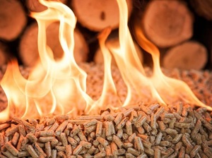 Pellets de madera de alta calidad para barbacoa y calefacción ¿Qué son los pellets de madera y cómo se hacen? - Product Image 6