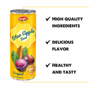 Jugo de Manzana Estrella Original de Calidad Premium JOJONAVI, Lata de 250 ml, Muestra Gratuita, Fabricante de Marca Privada, Proveedor Mayorista, OEM, ODM - Product Image 2