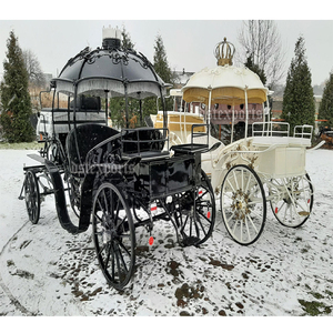 Carruaje fúnebre estilo calabaza, coche fúnebre de lujo con caballo blanco, fabricante de coche fúnebre, Cenicienta, carruaje tirado por caballos - Product Image 3