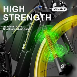 Usine directe 48V 2000W vélo de montagne électrique neige E-Bike avec moteur de moyeu arrière cadre en aluminium alimentation batterie au Lithium - Product Image 4