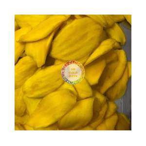 2025 vente en gros meilleur prix mangue séchée douce Premium fruits séchés tropicaux sans sucre FD processus de séchage emballage sous vide collation - Product Image 6