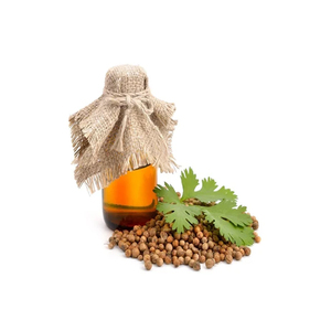 Aceite de semillas de cilantro puro 100% grado cosmético aceite esencial de cilantro para hacer perfume - Product Image 1