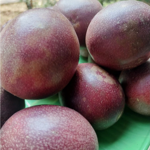 Maracuyá seco suave de Vietnam, socio de cadena de suministro confiable, contratos B2B a largo plazo, frutos secos Premium consistentemente altos - Product Image 4