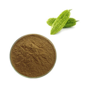 Suministro al por mayor botánico Momordica charantia extracto en polvo de melón amargo charantin 20% Extracto de melón amargo Saponinas - Product Image 5