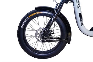 Design confortable Waya Zulu 250 E Bike Long Ride Ready avec batterie puissante et freins lisses pour des trajets indiens sûrs - Product Image 4