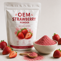 Natuurlijk Aardbeiensmaakpoeder Fruitaroma Concentraat voor Dranken Snoep Bakkerij Private Label Bulk Groothandel Leverancier