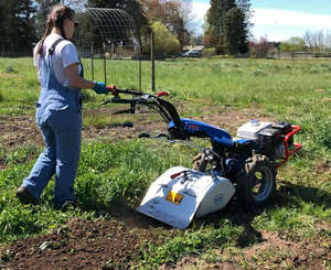 Compre Mini Tractor agrícola de dos ruedas Tractor para caminar multiusos 10HP-25HP Garantía de 3 años en stock para la venta - Product Image 6