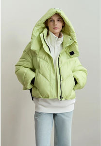 Unisex Customisable Logo Winter Puffer Jacket Zipper Closure Hooded Warm Outerwear Canvas Streetwear Coat Oversized High - Product Image 4