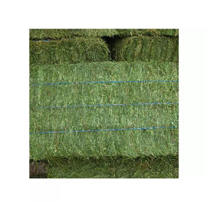 Heno de Alfalfa Alto en Proteínas – Alimento Premium para Ganado Lechero - Product Image 4