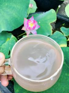 แป้งรากบัวขายดี สำหรับเครื่องดื่มเพื่อสุขภาพ ของหวาน และอาหารเพื่อสุขภาพ - Product Image 6